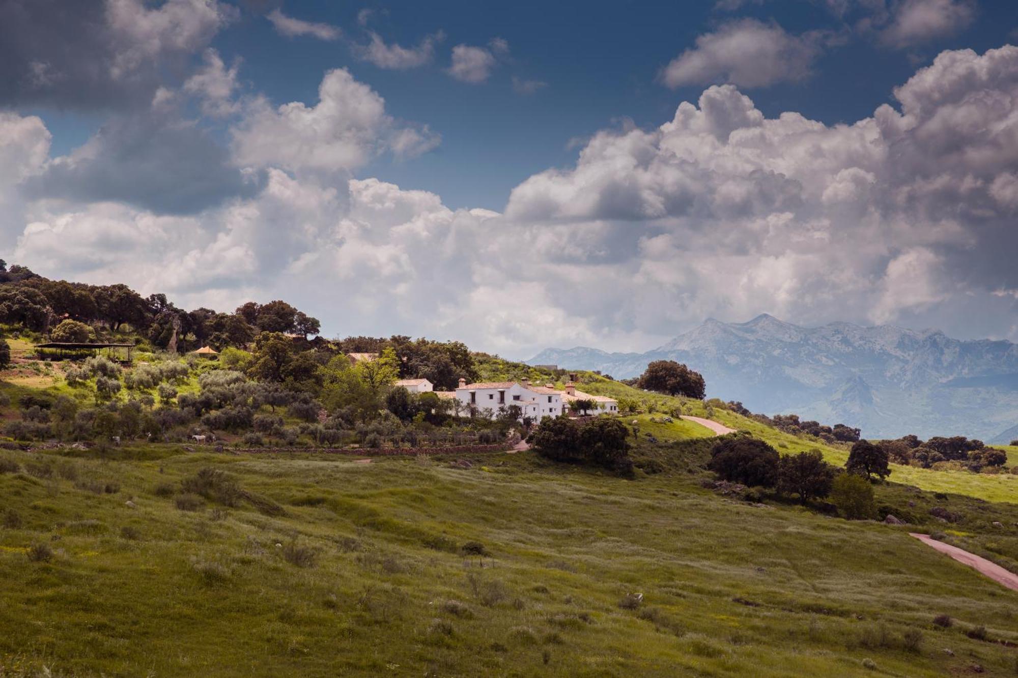 Pensjonat La Donaira Montecorto Zewnętrze zdjęcie